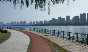 疫情散去，你最想去沈陽的哪個公園打卡？