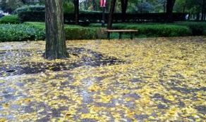 雨后的城市風(fēng)景，你細(xì)細(xì)品味過嗎？